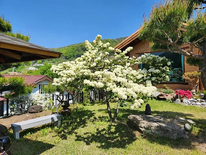 Gyeongnam, Miryang, Samnangjin-eup Hwangto Country House, Main House, Annexes and 3 Parcels for Sale photo 2