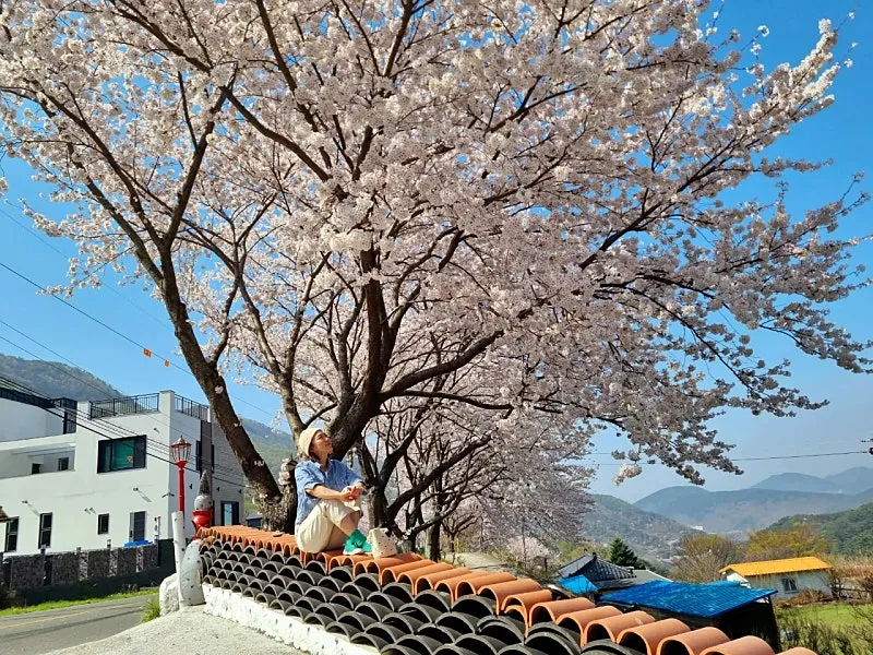 Gyeongnam, Miryang, Samnangjin-eup Hwangto Country House, Main House, Annexes and 3 Parcels for Sale photo 9