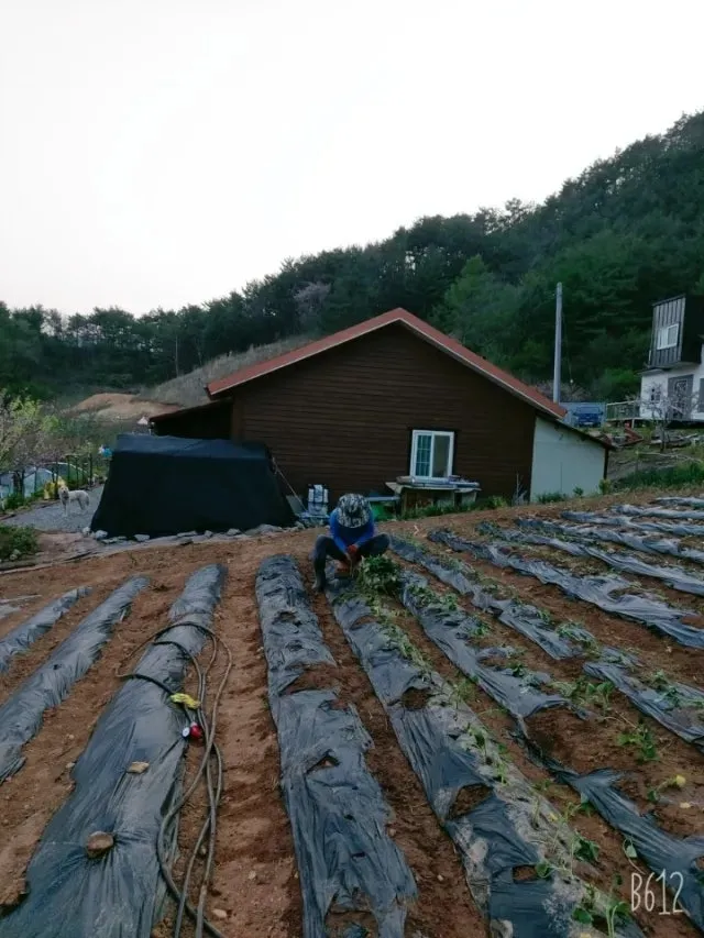 South-Facing Country House for Sale in Jeongseon, Gangwon-do, with 400 Pyeong of Land and Fields photo 7