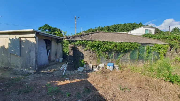 제주도 서귀포시 대정읍 신도리 촌집 매매, 리모델링 필요 매물 사진