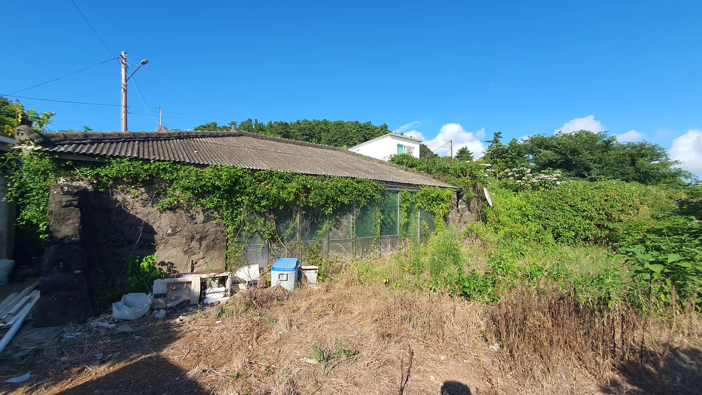제주도 서귀포시 대정읍 신도리 촌집 매매, 리모델링 필요 사진 3