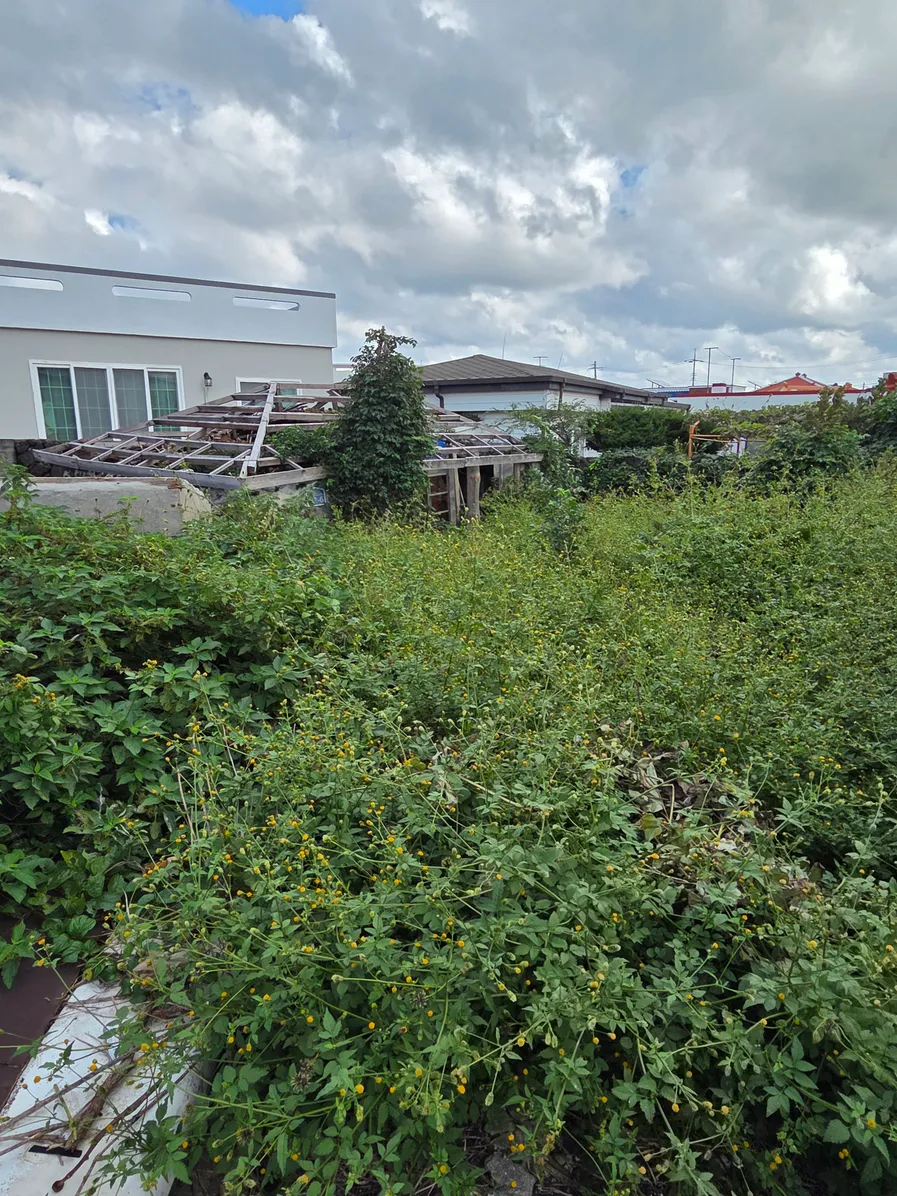 Old farmhouse for sale in Gimnyeong-ri, Gujwa-eup, Jeju, Jeju-do photo 7
