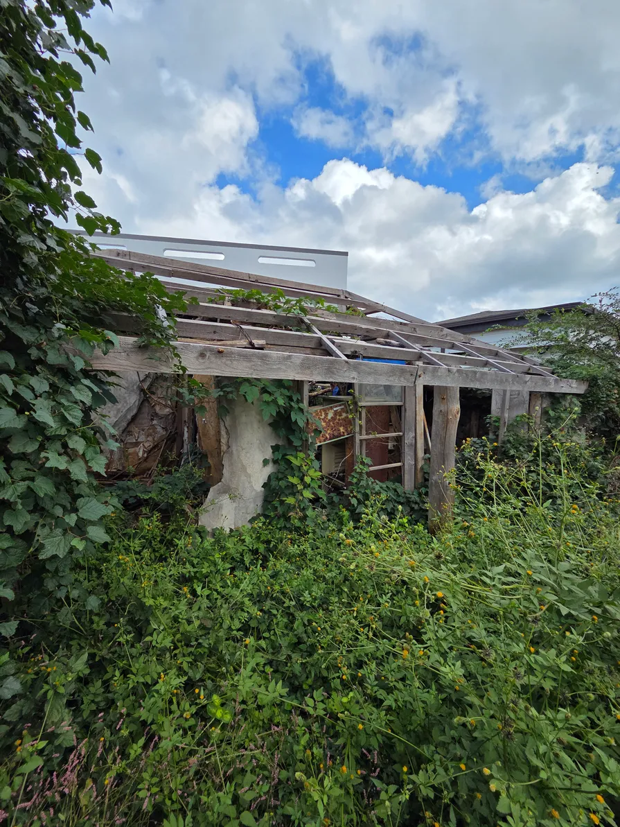 Old farmhouse for sale in Gimnyeong-ri, Gujwa-eup, Jeju, Jeju-do photo 3