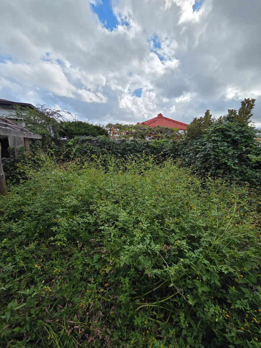 Old farmhouse for sale in Gimnyeong-ri, Gujwa-eup, Jeju, Jeju-do photo 5