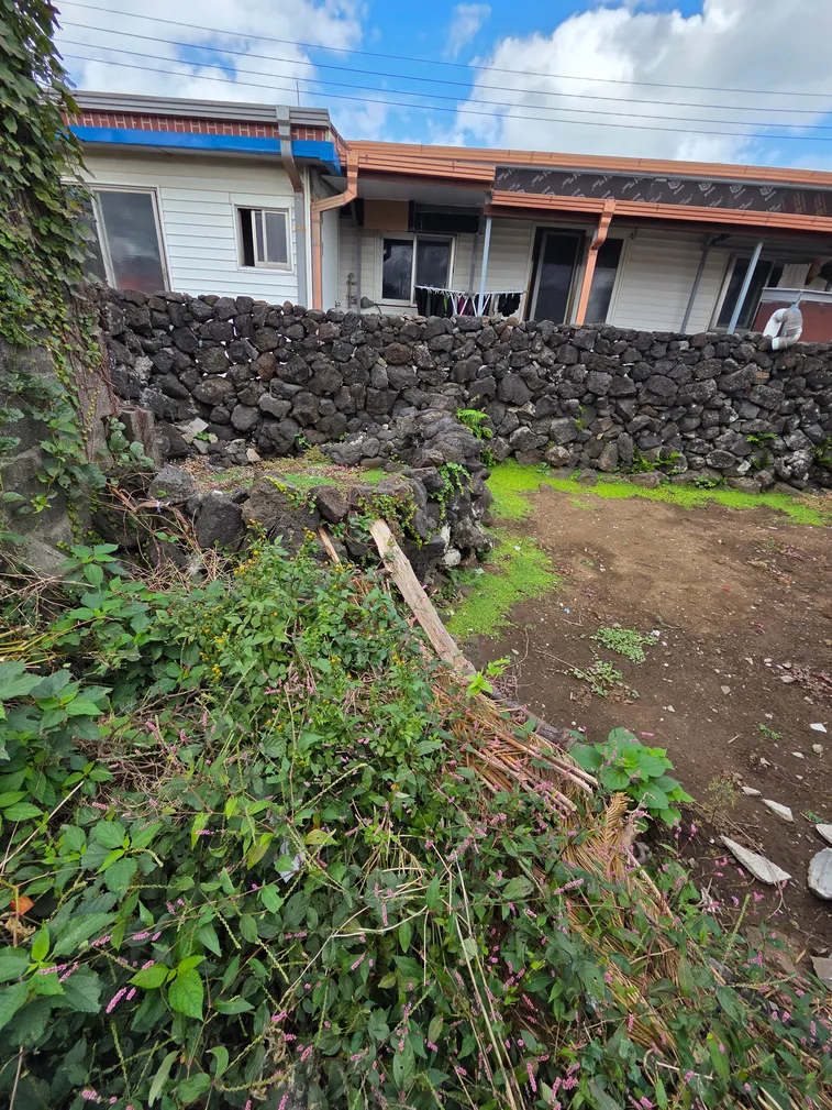 Old farmhouse for sale in Gimnyeong-ri, Gujwa-eup, Jeju, Jeju-do photo 8