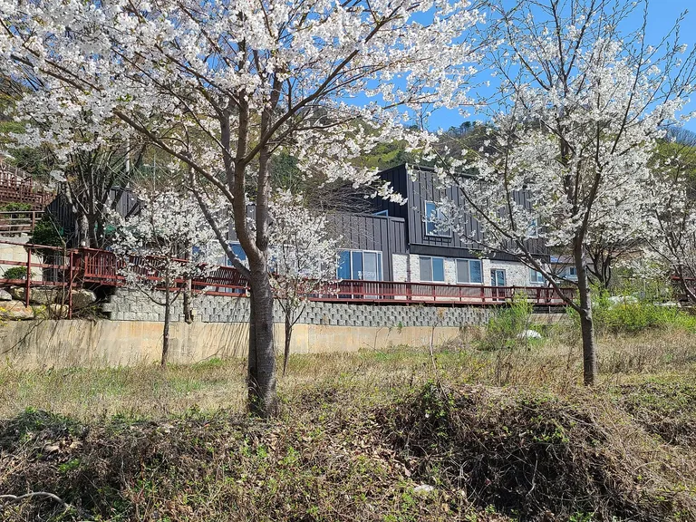 경기도 남양주시 수동면 시골 상가주택 매매, 대지 197평 매물 사진