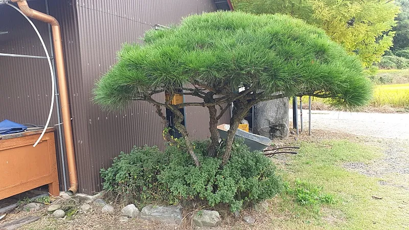 Country Home for Sale with Yard and Workshop in Iwon-myeon, Okcheon-gun, Chungcheongbuk-do photo 10