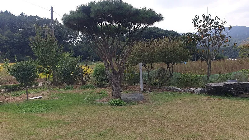 Country Home for Sale with Yard and Workshop in Iwon-myeon, Okcheon-gun, Chungcheongbuk-do photo 3