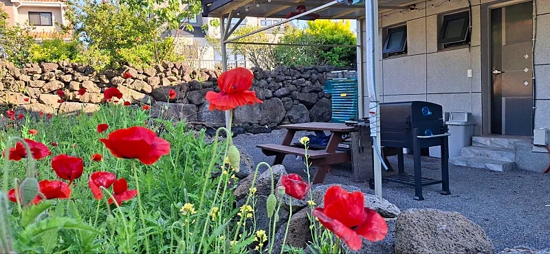 Detached House for Sale in Hyeopjae-ri, Hallim-eup, Jeju-si, Jeju Island, with a Spacious Yard; 777㎡ Lot · Guesthouse Business photo 3