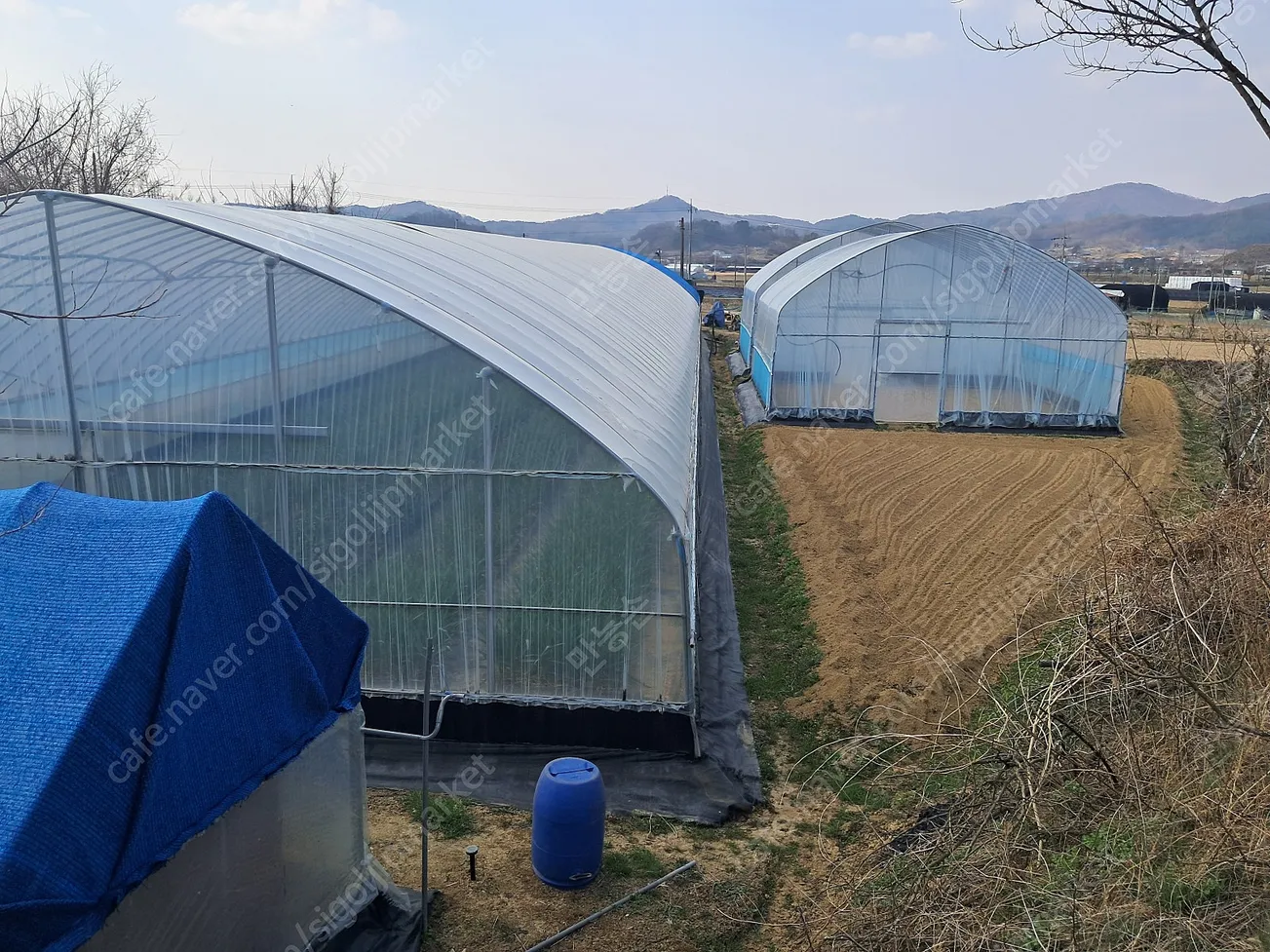 Farmland and Two-Story Farm Shed for Sale in Geumseong-myeon, Geumsan-gun, South Chungcheong Province photo 6