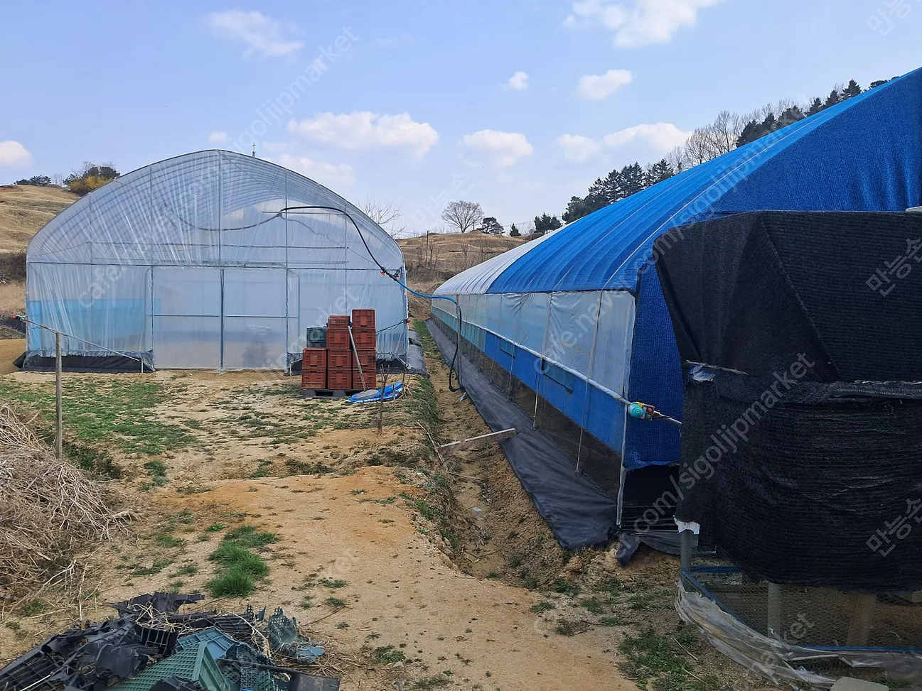 Farmland and Two-Story Farm Shed for Sale in Geumseong-myeon, Geumsan-gun, South Chungcheong Province photo 4