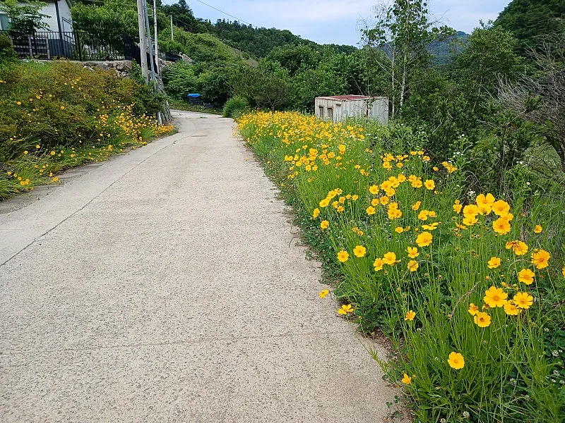 Rural Home for Sale in Danwol-myeon, Yangpyeong, Gyeonggi-do, with a Lawn and Spacious Deck photo 2