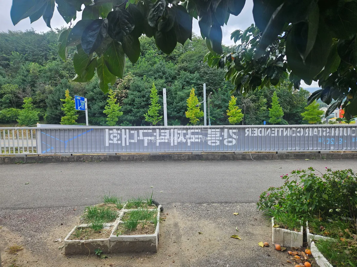 강원도 강릉 교동 리모델링 단독 시골집 건물 매매 사진 5