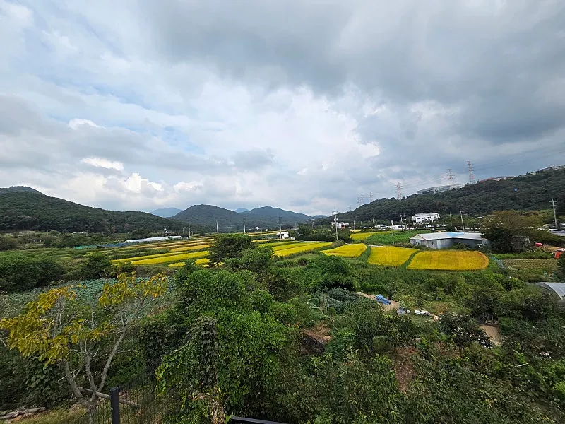 Rural House for Sale in Jang-an-eup, Gijang, Busan, Land 116 Pyeong · 5 Rooms photo 8