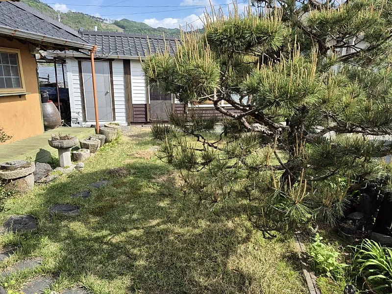 충북 청주 가덕면 전원주택 매매, 소나무와 원두막이 있는 아늑한 시골집