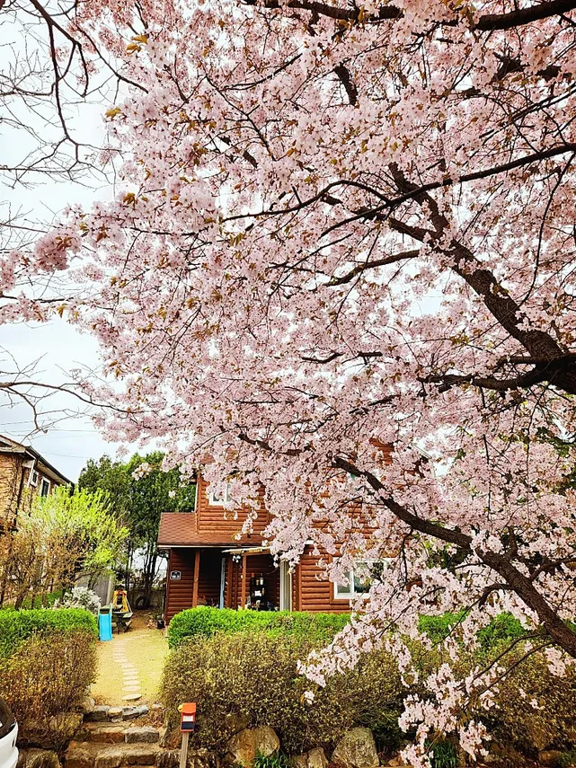 Rural Home for Sale in Tongjin-eup, Gimpo, Gyeonggi-do; 91-pyeong Lot, 42-pyeong Gross Floor Area photo 2