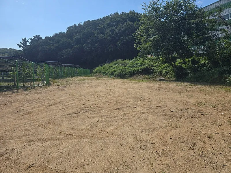 충청남도 천안시 동남구 성남면 대흥리 토지 매매, 180평 사진 3