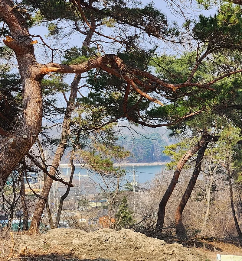 인천 강화 전원주택 매매, 고려저수지 조망과 리모델링 완료 사진 5
