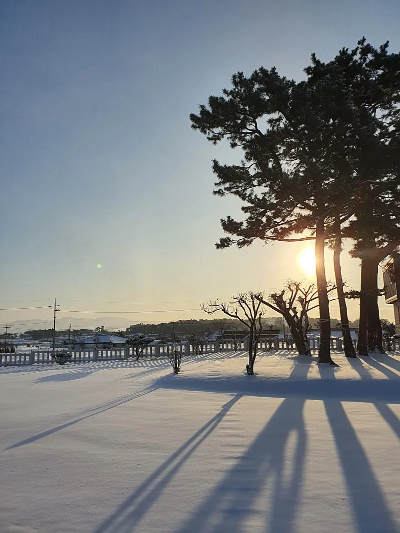 Rural Home for Sale in Inji-myeon, Seosan-si, Chungcheongnam-do; 25-pyeong House and Land in the 1,000-pyeong Range photo 5