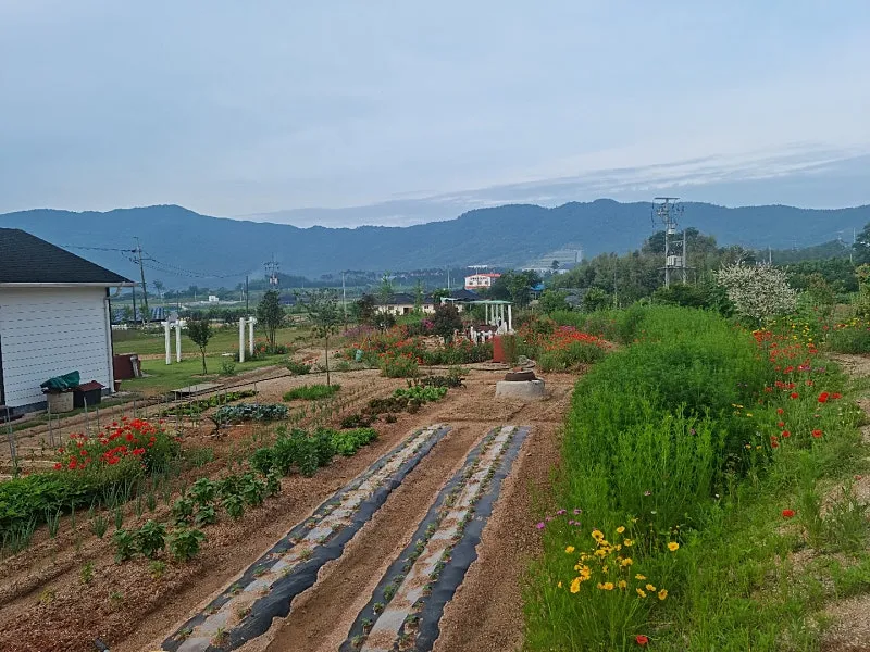 Rural Home for Sale in Inji-myeon, Seosan-si, Chungcheongnam-do; 25-pyeong House and Land in the 1,000-pyeong Range photo 4