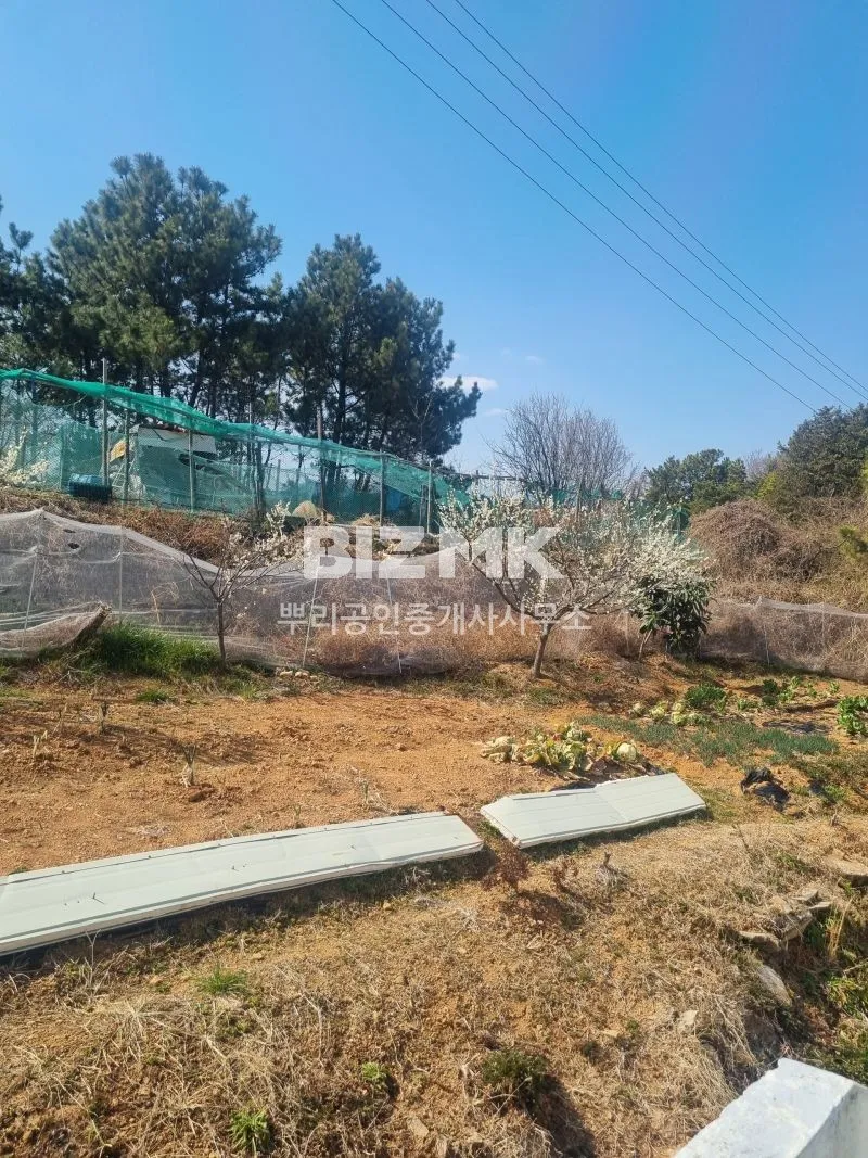 Detached House for Sale with Sea View in Dolsan-eup, Yeosu, Jeonnam-Gwangju Integrated Special City photo 7