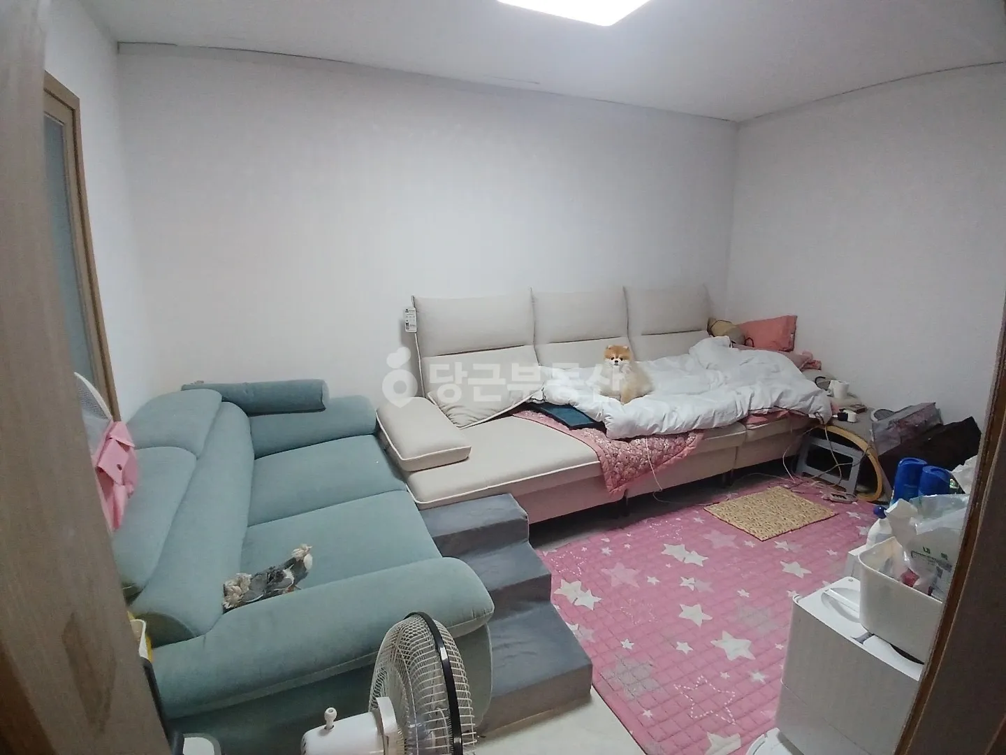 28-Pyeong Rural House for Sale in Nambumin-dong, Seo-gu, Busan, with 2 Yard Storage Sheds photo 4