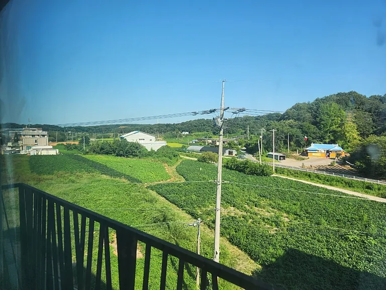 [충남 당진] 앞뒤가 트인 독립성 좋은 시골집 느낌의 빌라 탑층 매매, 엘리베이터와 옥상 이용 가능 매물 사진