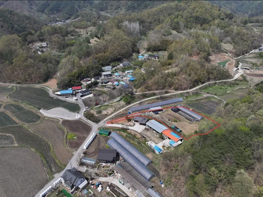 915-Pyeong Plot and Farm Shed for Sale in Sadung-ri, Buhang-myeon, Gimcheon, Gyeongbuk photo 7