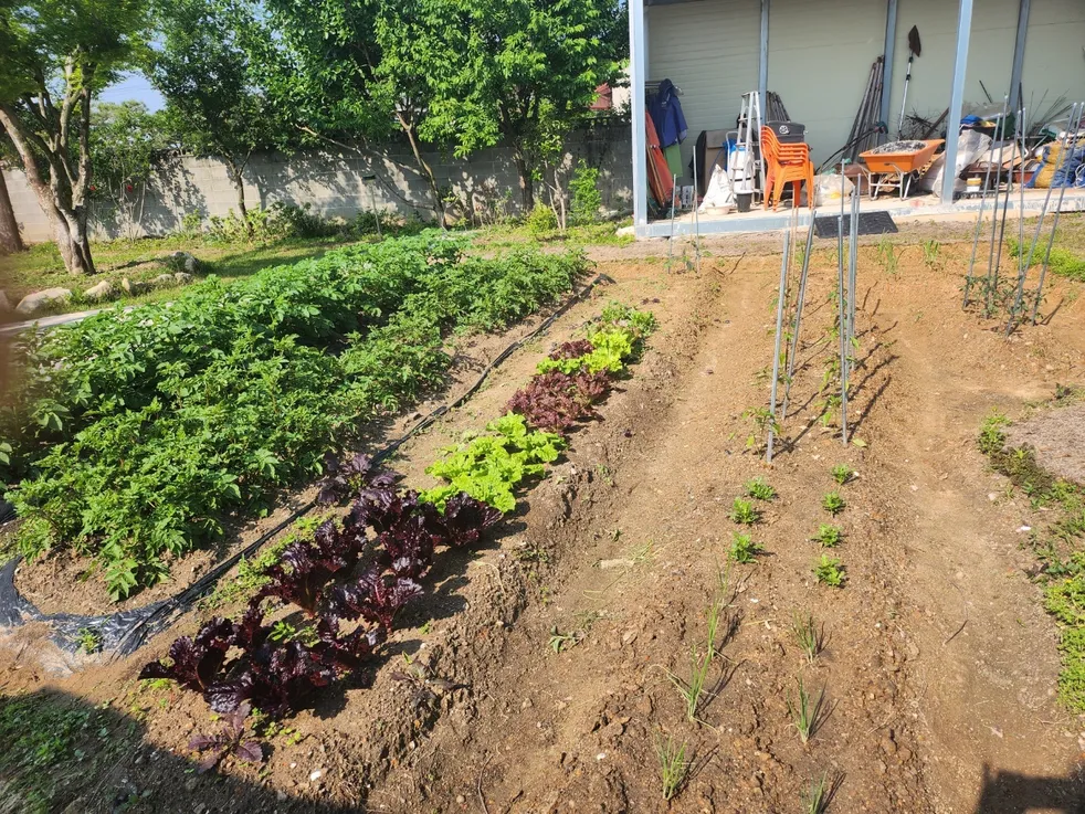 Rural House for Sale in Subuk-myeon, Damyang-gun, Jeonnam, with a Lawn and Vegetable Garden photo 2