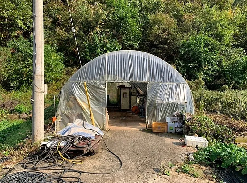 Single-Story Country Home for Sale in Danyang, Chungcheongbuk-do, on Approximately 744 Pyeong of Land photo 9