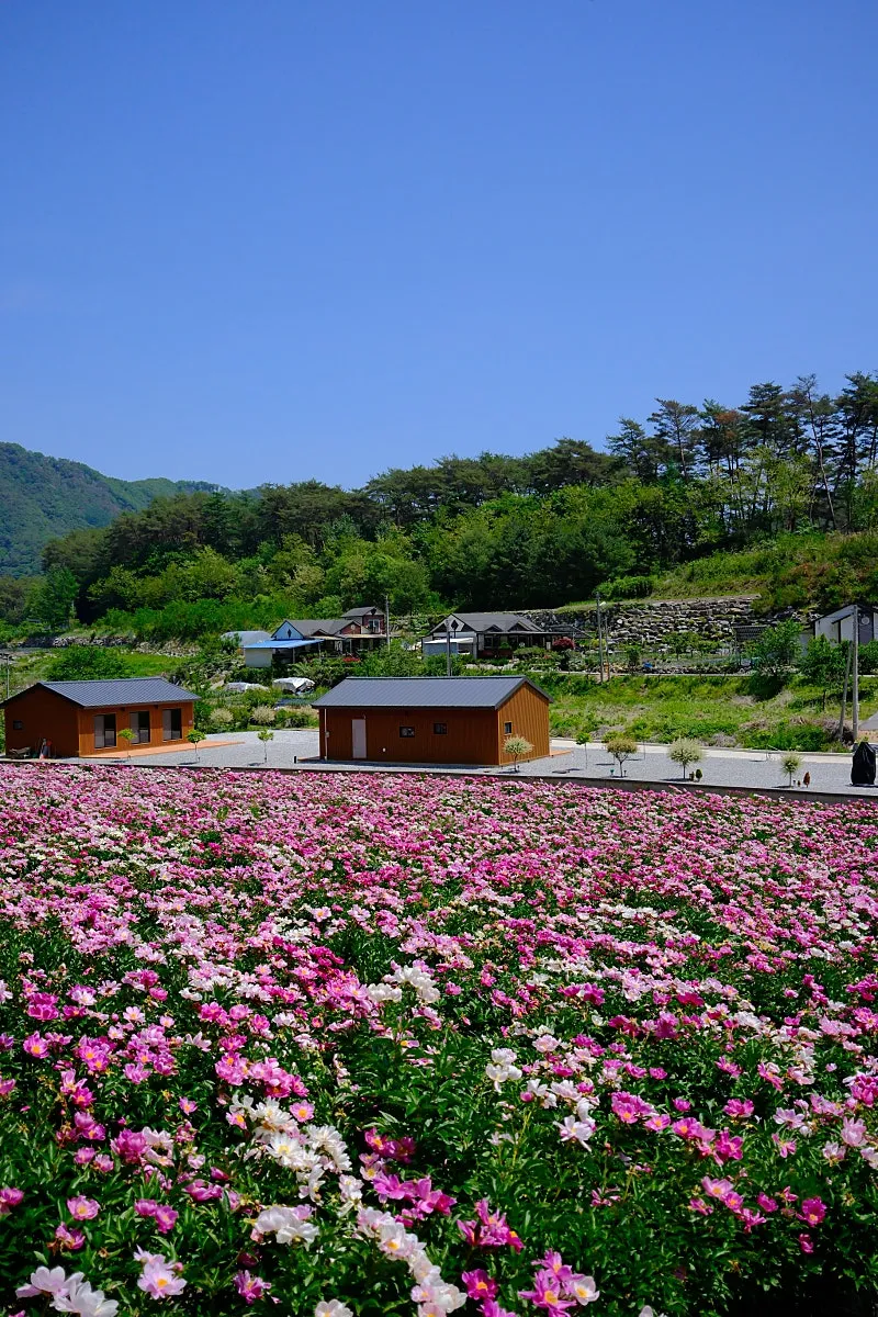 Second Homes for Sale in Bongyang-eup, Jecheon-si, North Chungcheong Province, with 550 pyeong of Land and 3 Houses photo 3