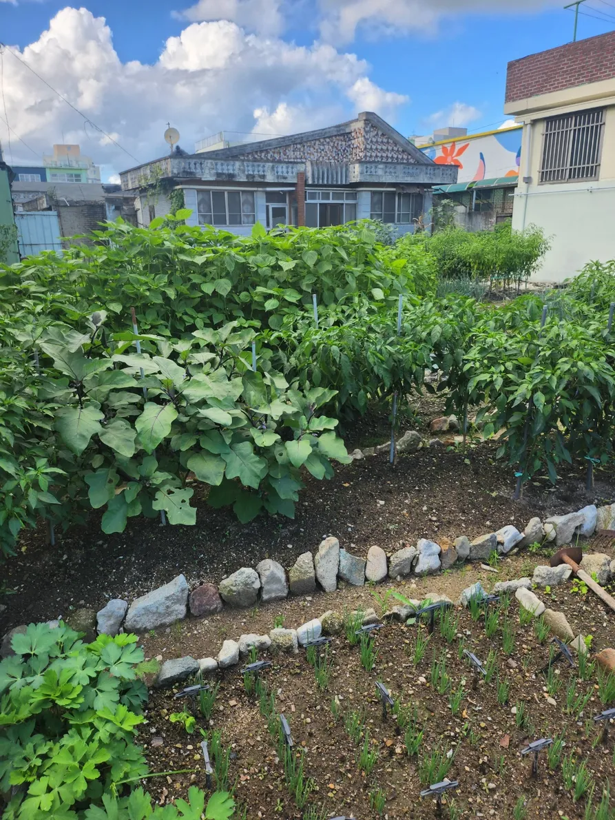 Brick House for Sale in the Countryside of Damyang-eup, Damyang, Jeollanam-do, with a Field and Vegetable Garden photo 7