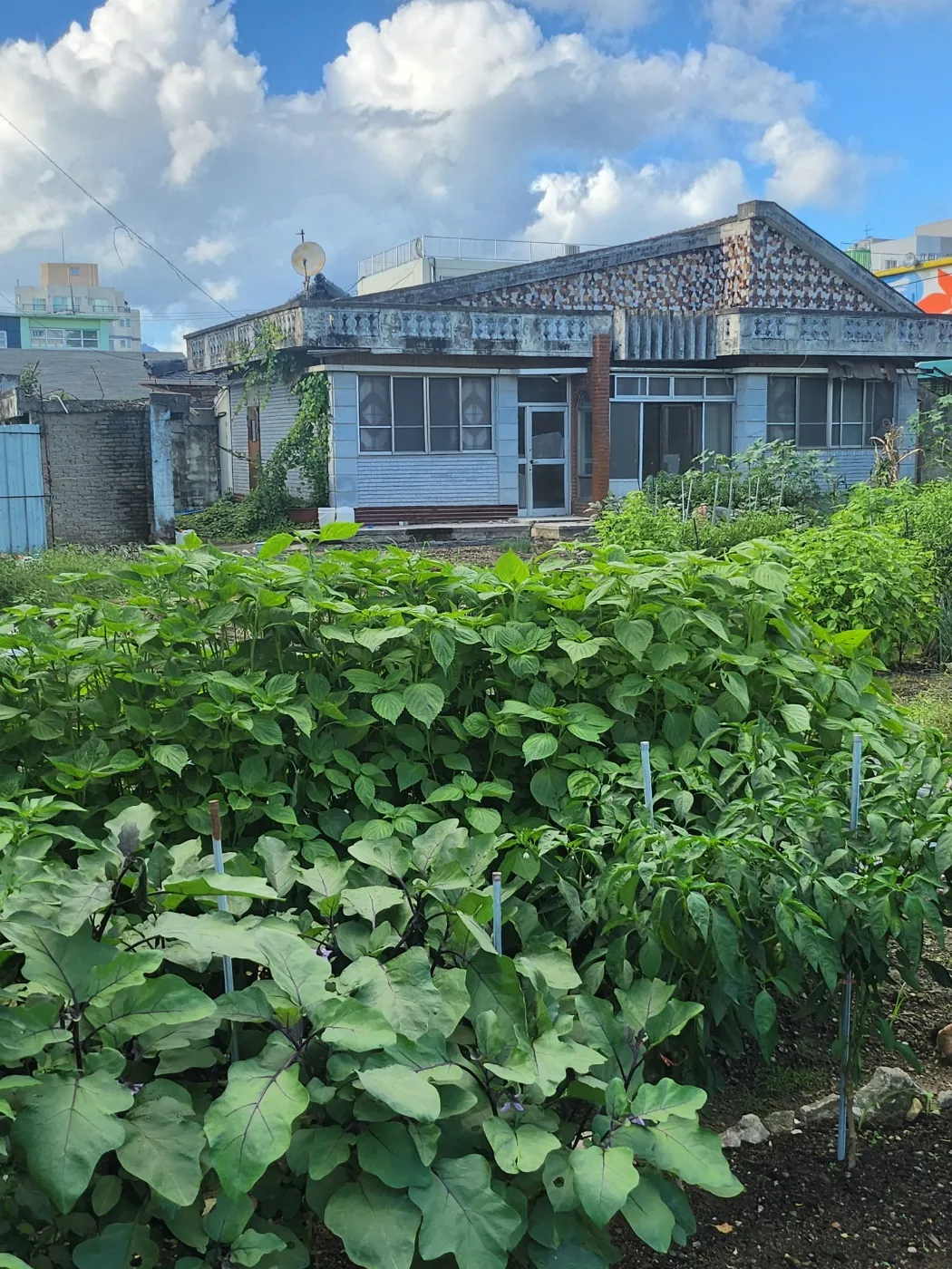 Brick House for Sale in the Countryside of Damyang-eup, Damyang, Jeollanam-do, with a Field and Vegetable Garden photo 4