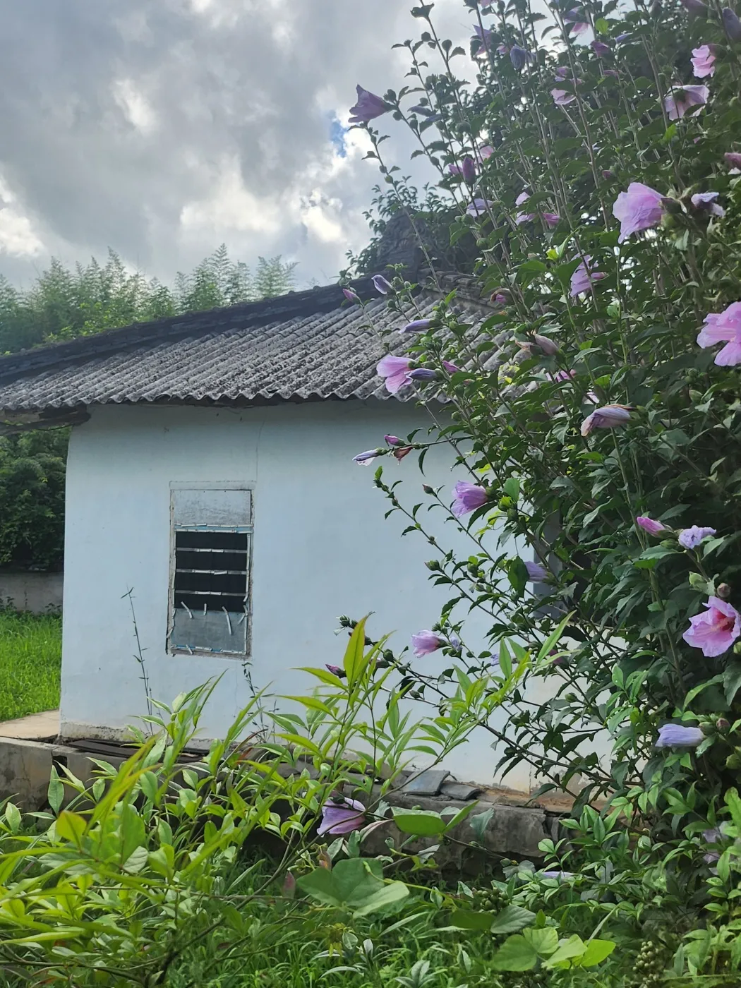 Sale of an old rural house in Geumseong-myeon, Damyang, Jeollanam-do, on a 330㎡ lot photo 4