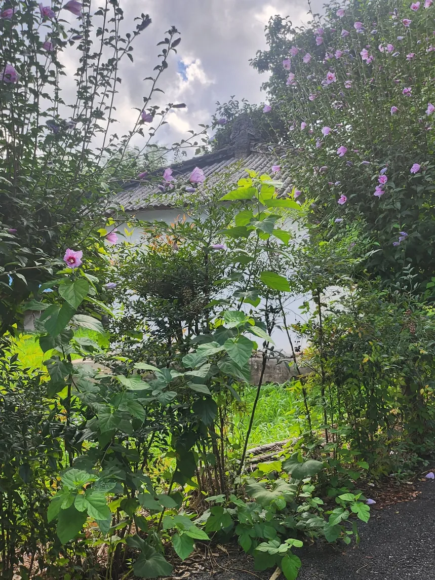 Sale of an old rural house in Geumseong-myeon, Damyang, Jeollanam-do, on a 330㎡ lot photo 6