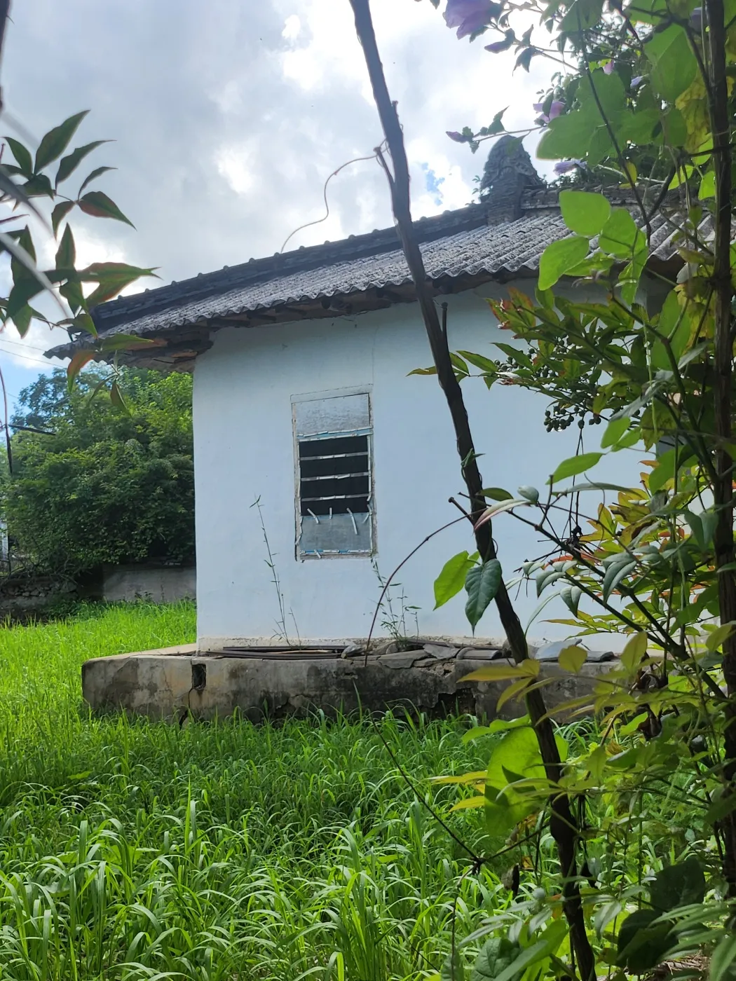 Sale of an old rural house in Geumseong-myeon, Damyang, Jeollanam-do, on a 330㎡ lot photo 3