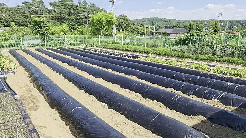 Rural Home for Sale by a Valley in Bongyang-eup, Jecheon, North Chungcheong Province — 249-pyeong Lot · Solar Power photo 7