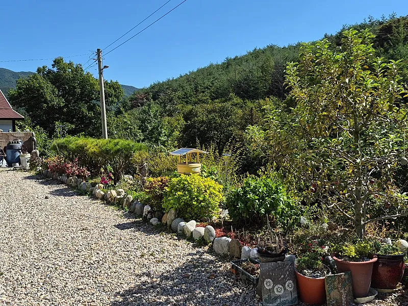 Rural House for Sale in Yeongdeok, Gyeongsangbuk-do, with Chilbosan Views and 504 Pyeong of Land photo 4