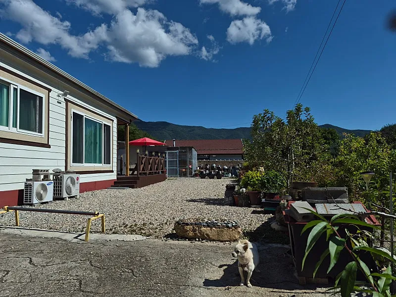 Rural House for Sale in Yeongdeok, Gyeongsangbuk-do, with Chilbosan Views and 504 Pyeong of Land photo 9
