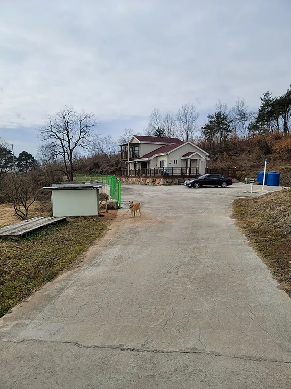 경상북도 예천군 지보면 낙동강 앞 마당 있는 전원주택 매매 매물 사진
