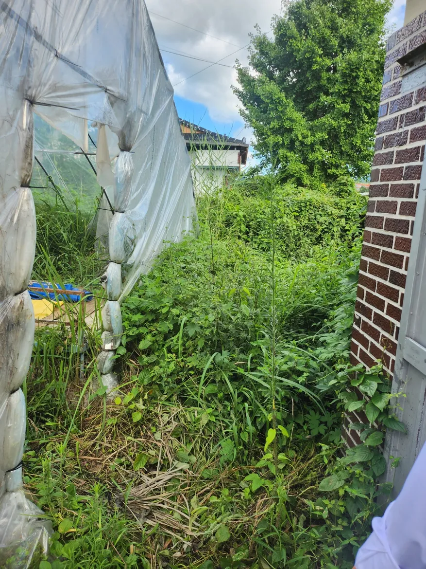 Rural Brick House for Sale in Damyang, Jeollanam-do, with a Large Garden and 703㎡ of Land photo 5