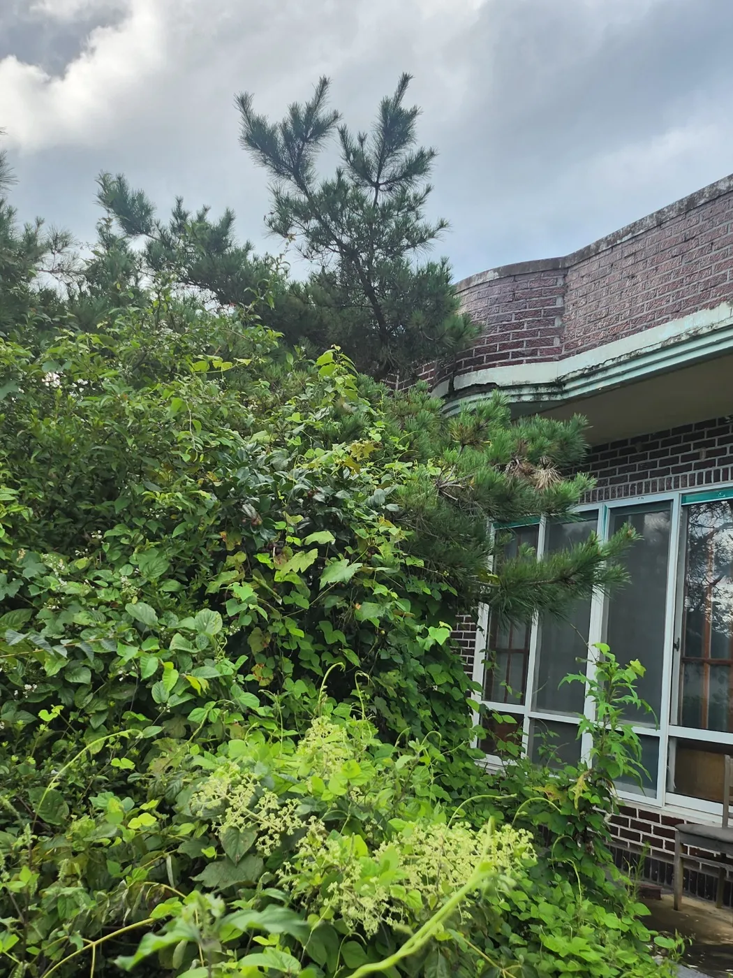 Rural Brick House for Sale in Damyang, Jeollanam-do, with a Large Garden and 703㎡ of Land photo 4