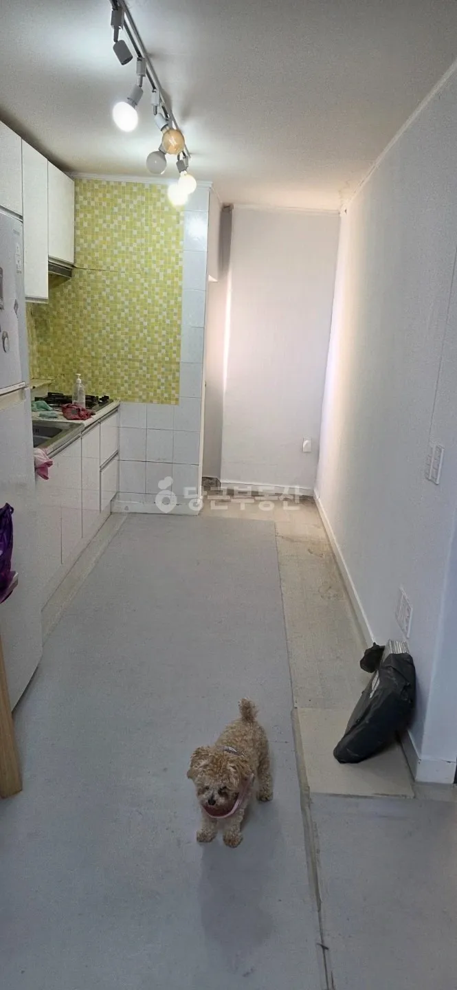 Single-Story Detached House for Sale in Sujeong-dong, Dong-gu, Busan, 74㎡ Gross Floor Area photo 2