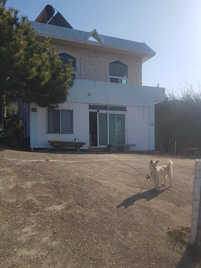경남 남해 서면 바다 전망 시골집 매매, 대지 305㎡ 사진 3