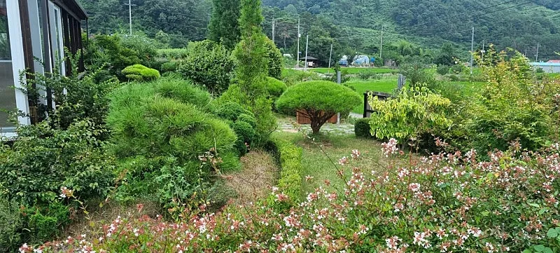 Rural Home for Sale in Hwajeong-myeon, Uiryeong-gun, Gyeongsangnam-do, with a Vegetable Garden and Greenhouses photo 6