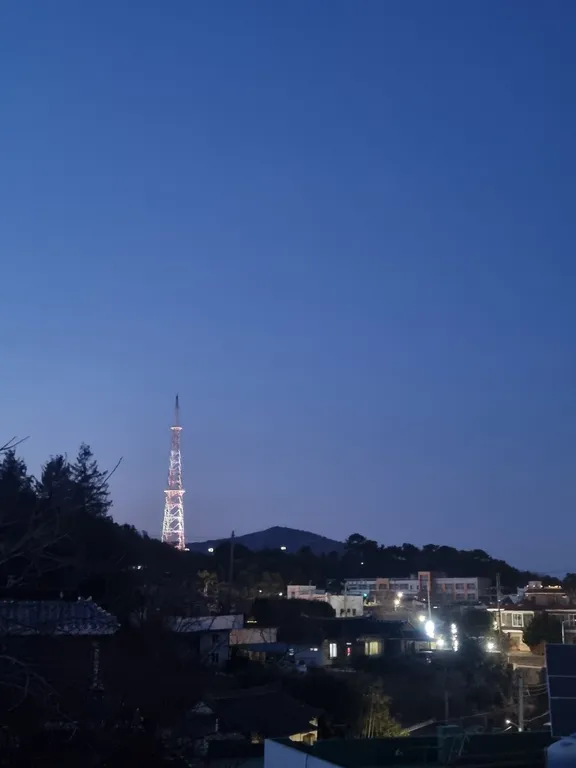 전라남도 여수 돌산읍 전망 좋은 마당 있는 단독주택 매매 매물 사진
