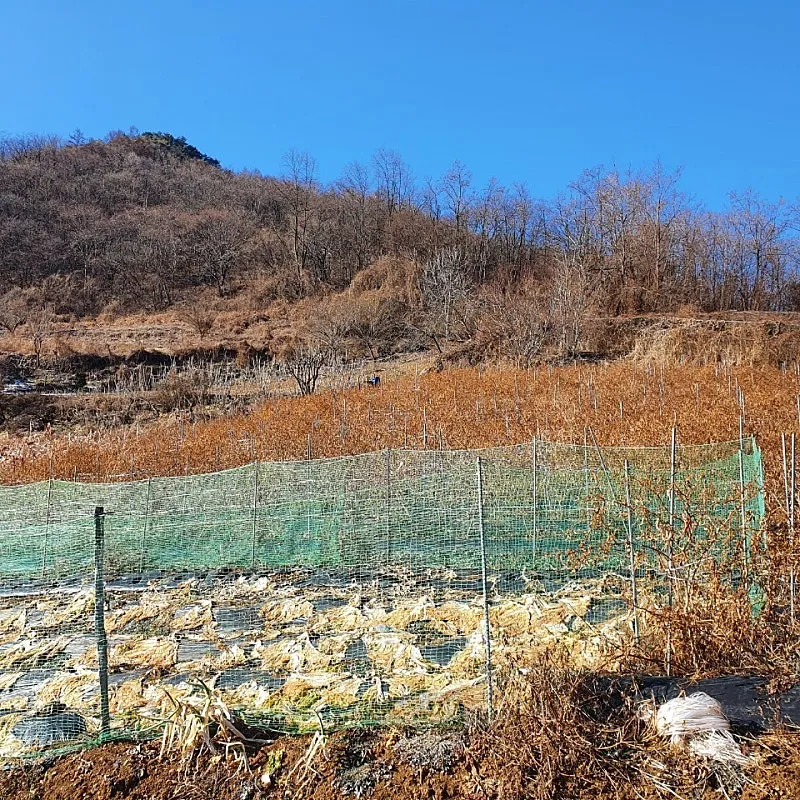 Land for Sale at the Top of a Village in Duhang-ri, Danseong-myeon, Danyang-gun, Chungcheongbuk-do — 17 Million Won photo 4