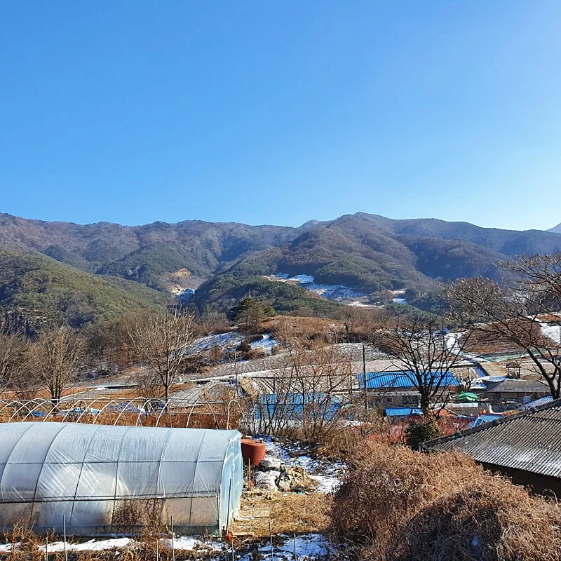 Land for Sale at the Top of a Village in Duhang-ri, Danseong-myeon, Danyang-gun, Chungcheongbuk-do — 17 Million Won photo 3