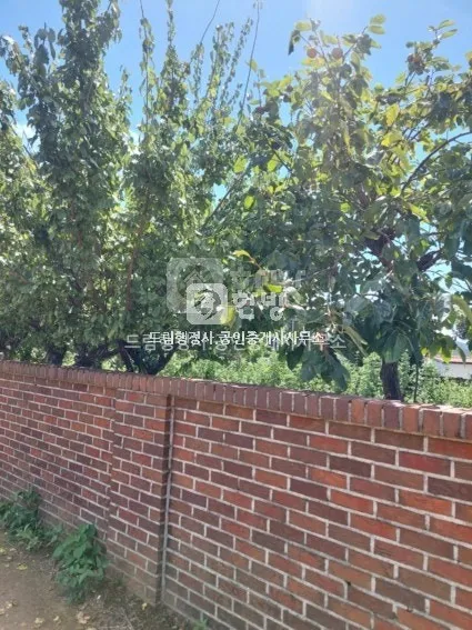 Rural Home with a Spacious Yard for Sale in Dolsan-eup, Yeosu, Jeonnam-Gwangju Integrated Special City photo 4