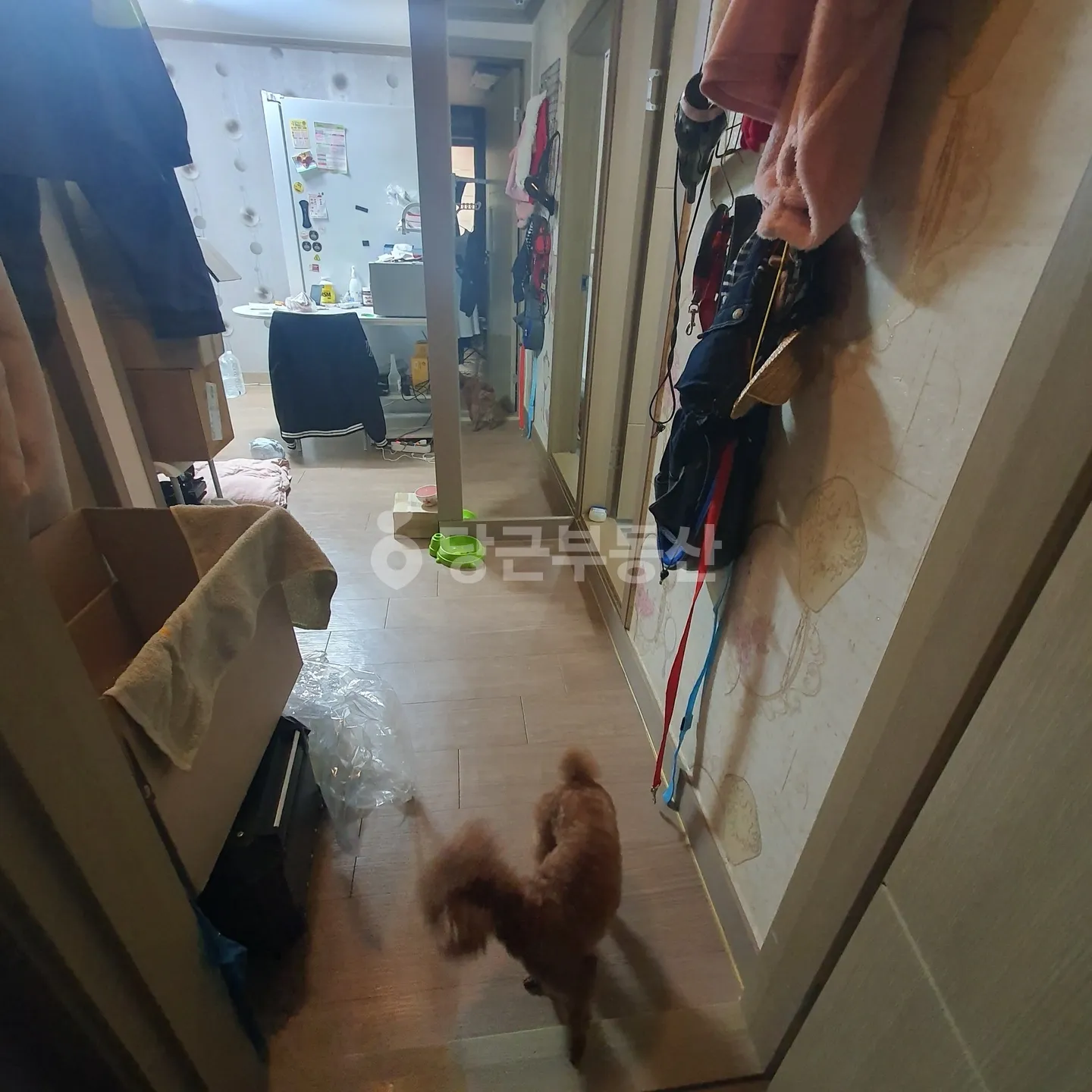 Villa for Sale in Choryang-dong, Dong-gu, Busan, 2 Bedrooms · 1 Bathroom photo 3